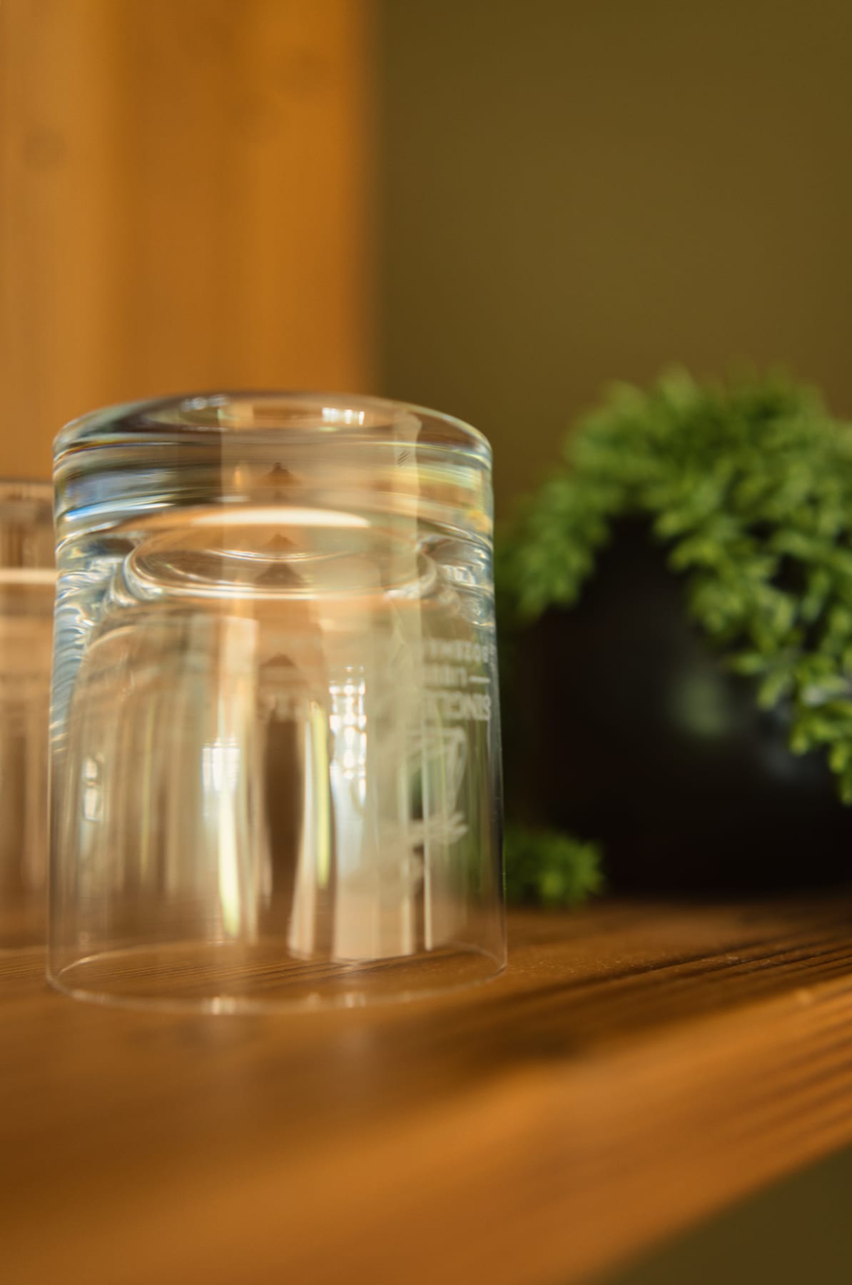 Glassware and plant in kitchenette at Glacier Mountain Getaway near Bozeman Montana