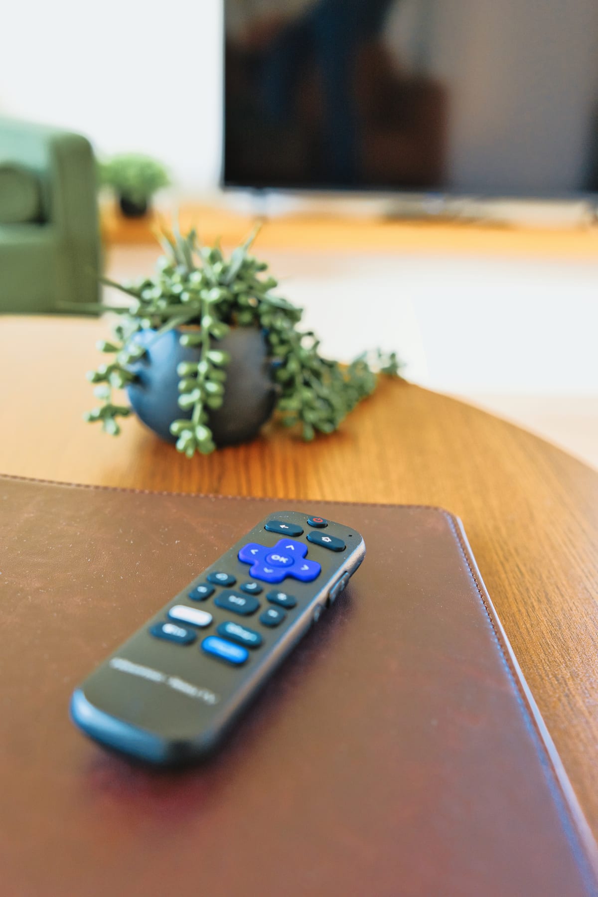 Roku remote at Glacier Mountain Getaway near Bozeman Montana